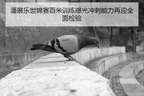 潘展乐世锦赛百米训练曝光冲刺能力再迎全面检验
